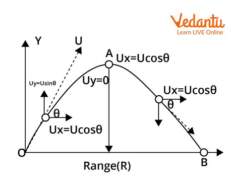 JEE Derivation of Equation of Trajectory Important Concepts and Tips