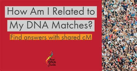 Centimorgan matches | Dna, Dna results, Family history