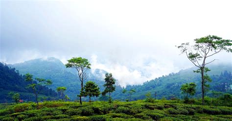 Misty Mountains · Free Stock Photo