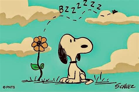 Pin by ~ 🌜🍀Shannon 🍀🌛~ on SNOOPY & THE PEANUTS GANG | Snoopy, Fictional ...