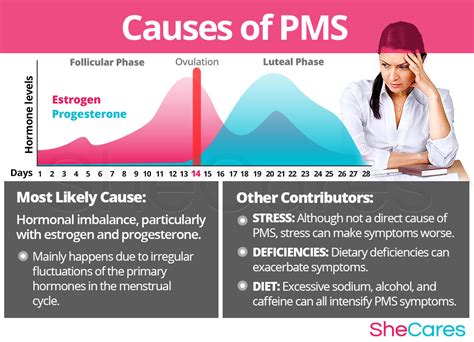 Premenstrual Syndrome Causes