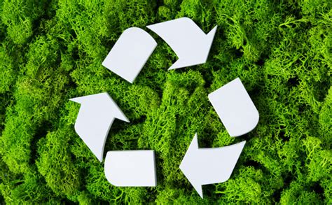 How to improve & increase your recycling – The Waste Management & Recycling Blog