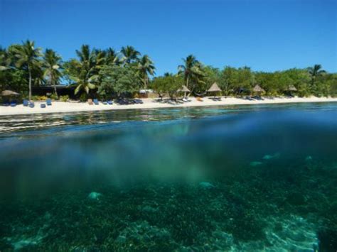 Blue Lagoon Beach Resort Fiji - Stunning resort offering budget packages