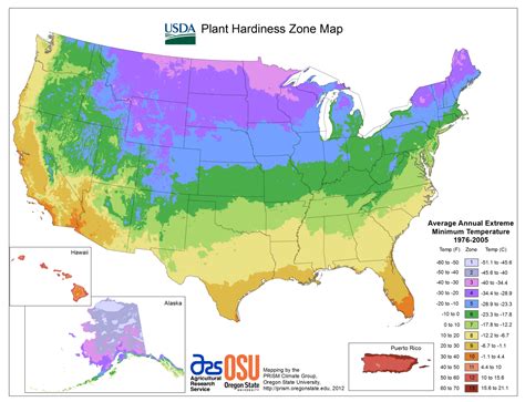 Growing Zones Guide: Zone 7 – FastGrowingTrees.com