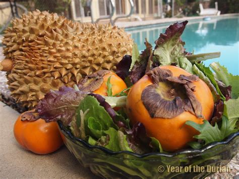 Recipe: Durian-Persimmon Salad