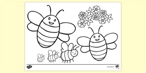 FREE! - Bee Colouring Page | Colouring Sheets (Teacher-Made)