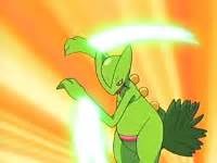 Image - Sceptile Leaf Blade.png | PokéFanon | FANDOM powered by Wikia