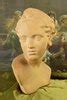 B741/S - Stunning Antique French Architectural Terracotta Bust, Neoclassical Young Adonis - La ...