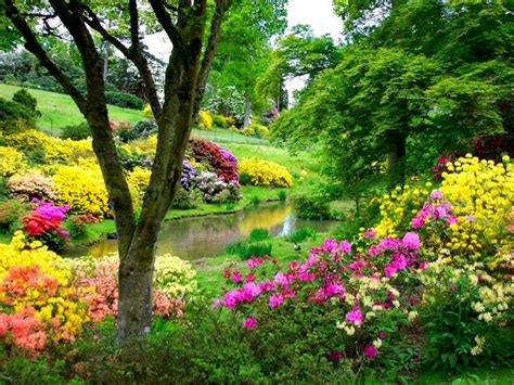 beautiful park flowers Image - ID: 10483 - Image Abyss