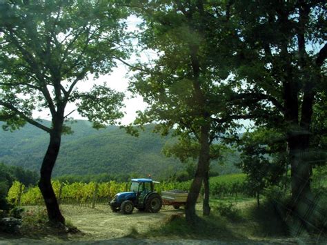 Chianti Countryside, Tuscany, Italy