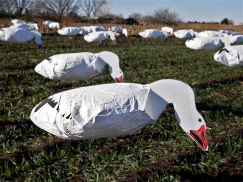 Snow Goose Silhouette Windsock Decoys – SilloSocks