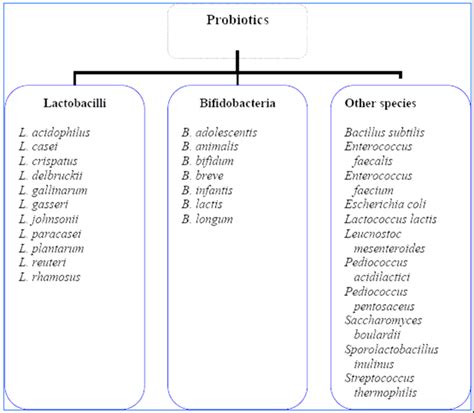 Different types of bacteria which are recognized as probiotics (Furrie,... | Download Scientific ...