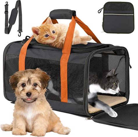 Amazon.com : SEVVIS cat Carriers for Large Cats 20 lbs+, Soft Sided Pet ...