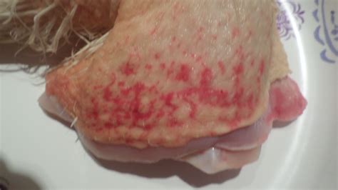 Weird red rash on chicken skin | BackYard Chickens - Learn How to Raise Chickens