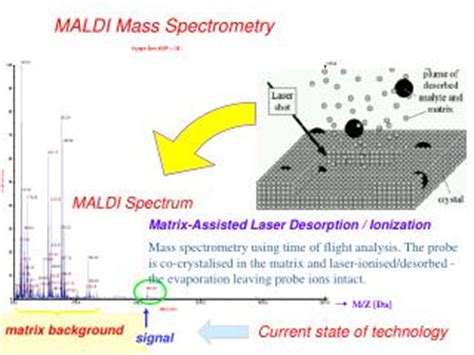 PPT - MALDI-TOF Spectrometry PowerPoint Presentation - ID:455052