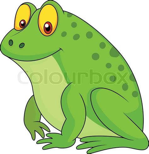 Vector illustration of Cute green frog ... | Stock vector | Colourbox