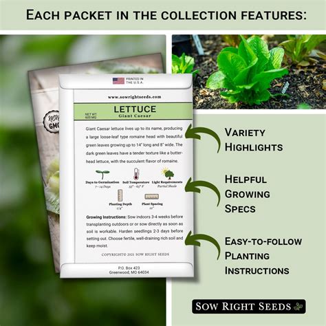 Large Lettuce Seed Collection for Planting in Spring or Fall – Sow Right Seeds