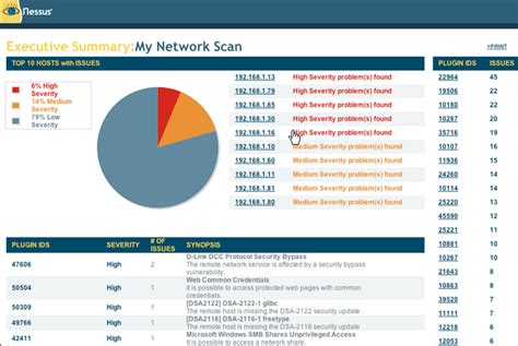 Vulnerability scanning - Blue Lance