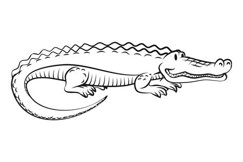 Alligator Drawing. Hand Drawn Crocodile. Graphic by vectortatu ...