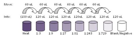 Dilutions: Explanations and Examples of Common Methods | Biolympiads