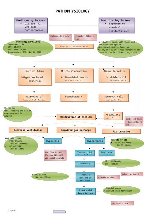 (DOCX) COPD PATHOPHYSIOLOGY diagram - DOKUMEN.TIPS