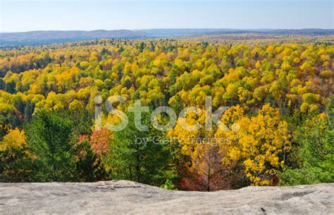 Fall Colors In Algonquin Park Ontario Stock Photo | Royalty-Free ...