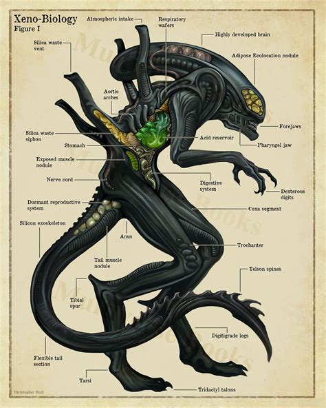 Xenomorph Anatomy Poster Alien Inspired Scientific Wall Art | Etsy in ...