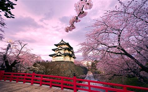 Hirosaki Castle Japan Wallpapers | HD Wallpapers | ID #10454