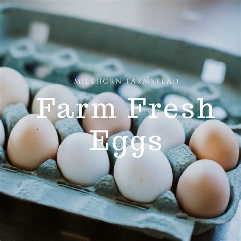 Pastured Eggs - Millhorn Farmstead