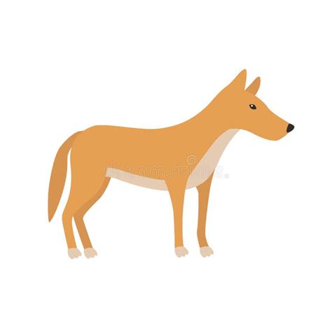 Dingo. Cartoon Character. Australian Dingo Dog. Zoo Illustration. Stock ...