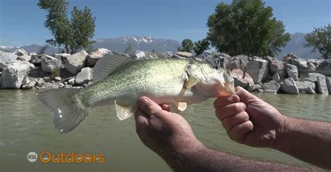 Utah Lake Fishing for Bass and Catfish - KSL Outdoors