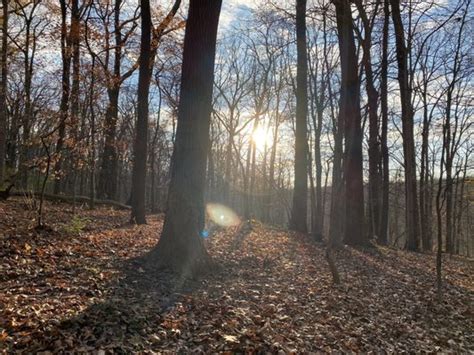 ROCK CREEK PARK NATURE CENTER - 320 Photos & 114 Reviews - Parks - 5200 Glover Rd NW, Washington, DC