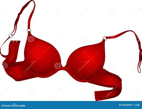 Red bra stock vector. Illustration of women, fashion - 20692497