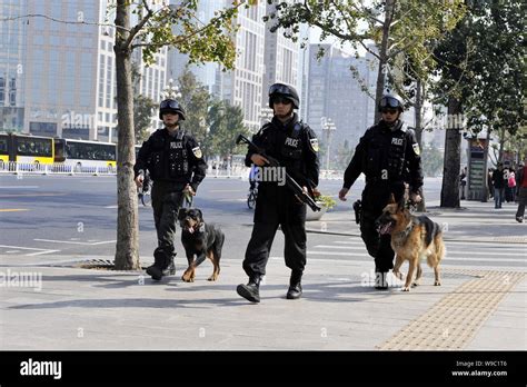 Chinese special policemen and their police dogs patrol the ChangAn Avenue in Beijing, China ...