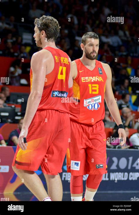 Pau and Marc Gasol. Spain Basketball National Team. World Cup 2014 ...