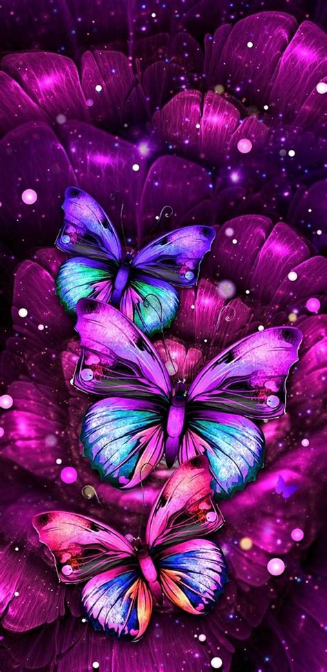 Fondos De Pantalla De Mariposas (#2910394) - HD Wallpaper & Backgrounds Download