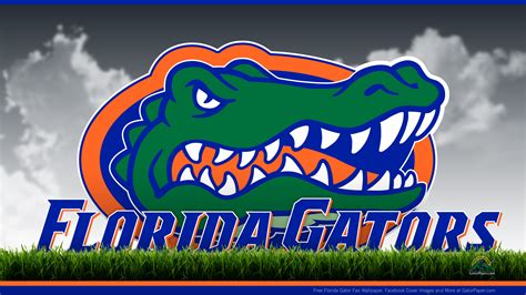 Florida Gator Screensavers and Wallpaper - WallpaperSafari