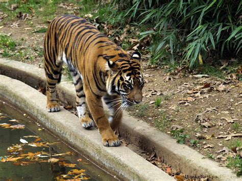 Smithsonian National Zoo - HawkeBackpacking.com