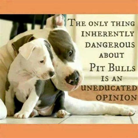 Pitbull Dog Love Quotes Meme Image 09 | QuotesBae