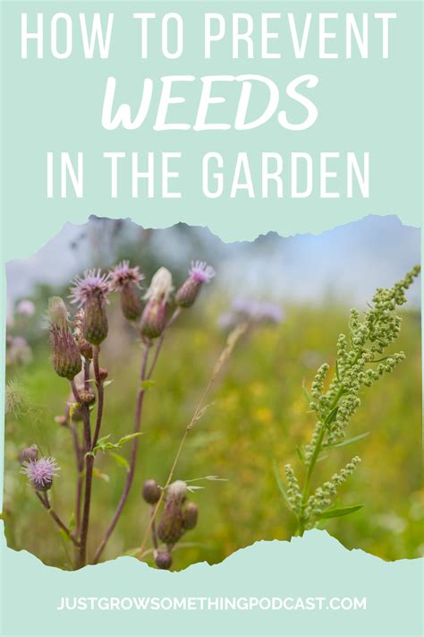 Weed Prevention in the Garden | Just Grow Something with Karin Velez