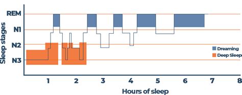 Stages of Sleep: Awake to REM in 4 Cycles | Sleep Advisor