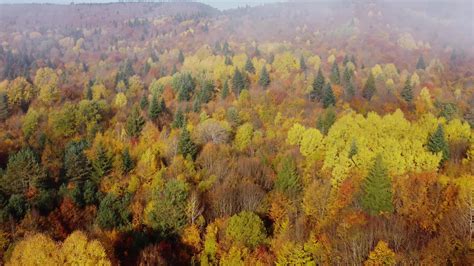 Autumn colors and mountain road aerial view 4276214 Stock Video at Vecteezy