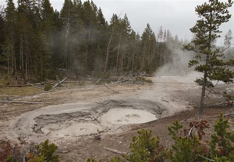 One-Day Trip: Trek to Mud Volcano Area - Yellowstone Insider