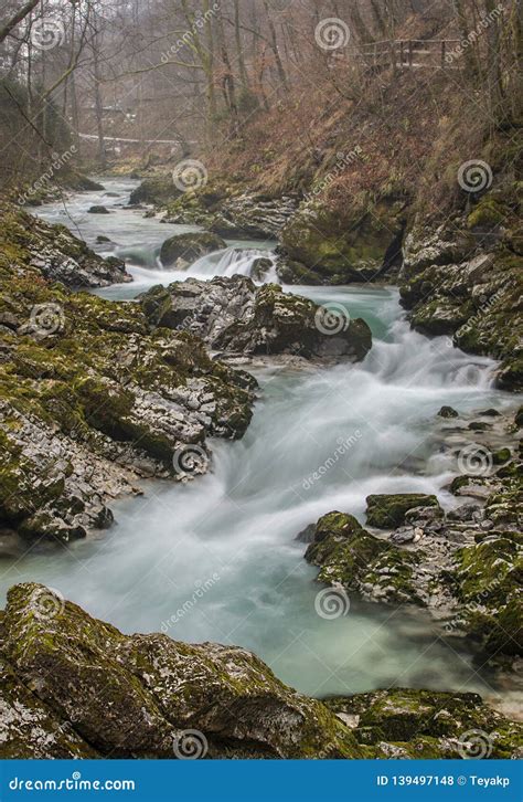 Vintgar Gorge or Bled Gorge in Winter Stock Photo - Image of moos, fall ...