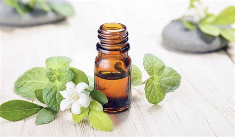 Peppermint Oil - For Gut Health｜ iHerb Blog