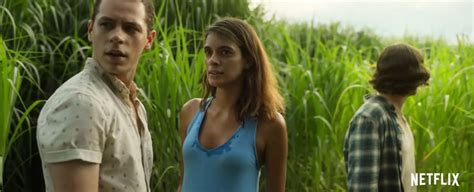 In the Tall Grass: Movie Review