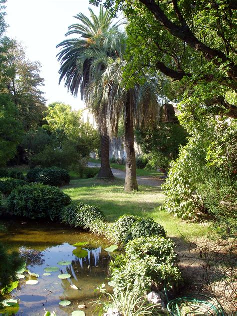 Botanical garden - Wikipedia