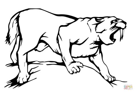 Saber Tooth Tiger Coloring Pages - Coloring Home