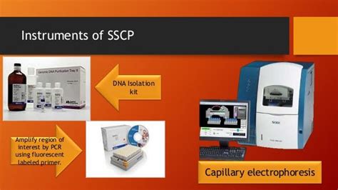 SNP Detection Methods and applications