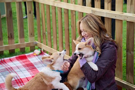 A Royal Corgi Christmas Final Image Assets | Celebrating The Soaps